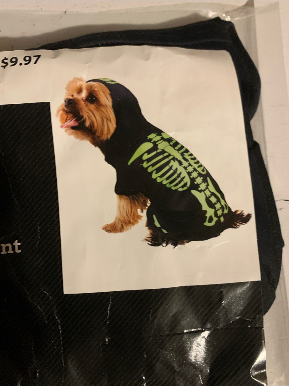 Celebrate! Neon Skeleton Dog Pajama - Neon Skeleton & Mummmy - Picture 3 of 4